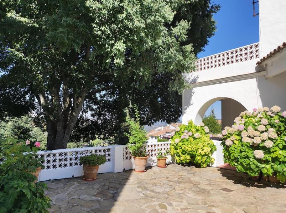 Vila Casa Pomar - Preciosa Casa Con Piscina Y Vistas A La Sierra Grazalema Exteriér fotografie