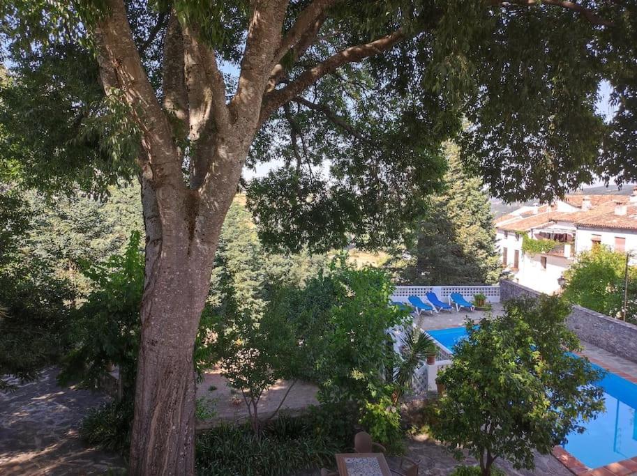 Vila Casa Pomar - Preciosa Casa Con Piscina Y Vistas A La Sierra Grazalema Exteriér fotografie